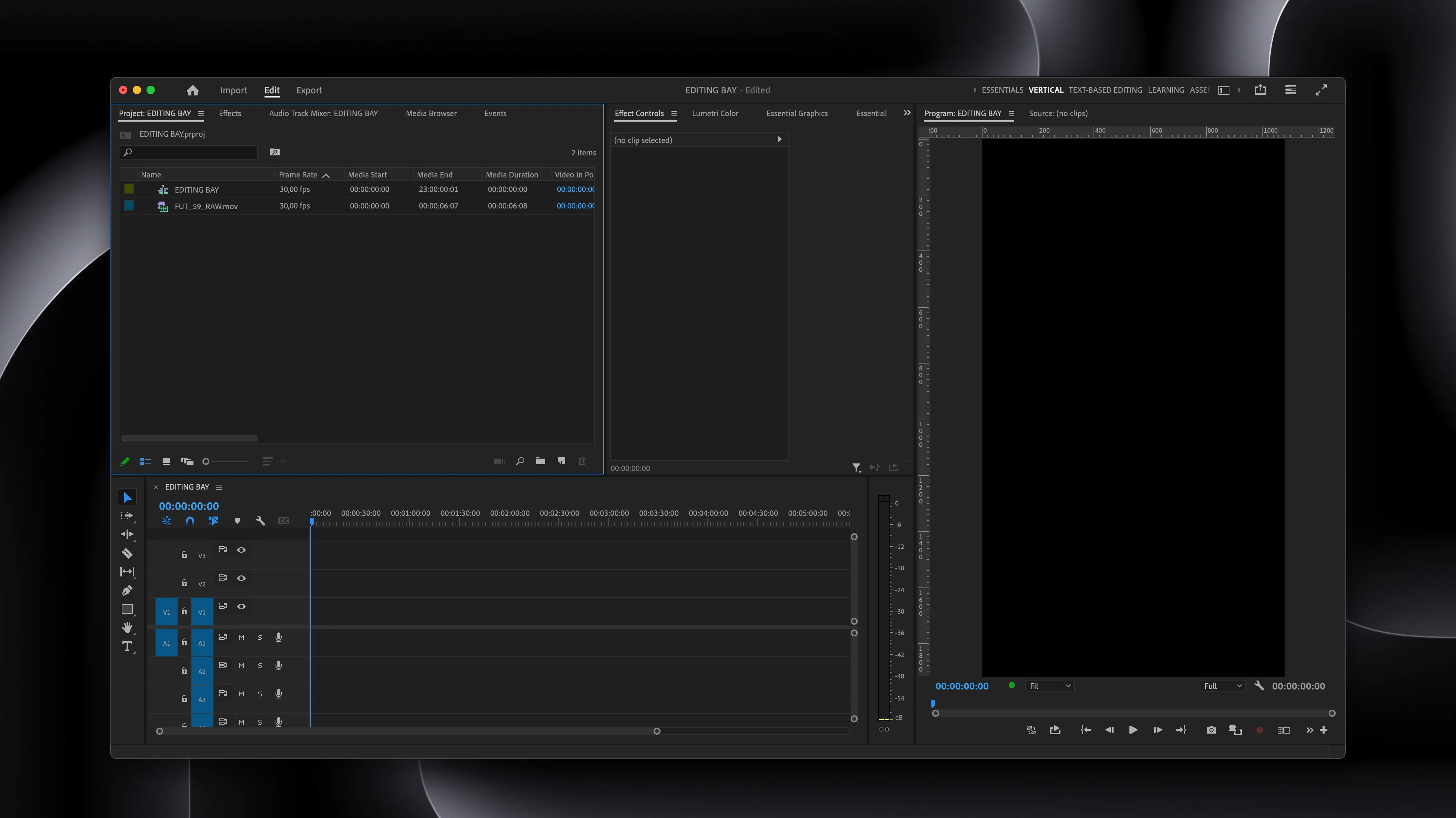 A screenshot of an empty Premiere Pro project.